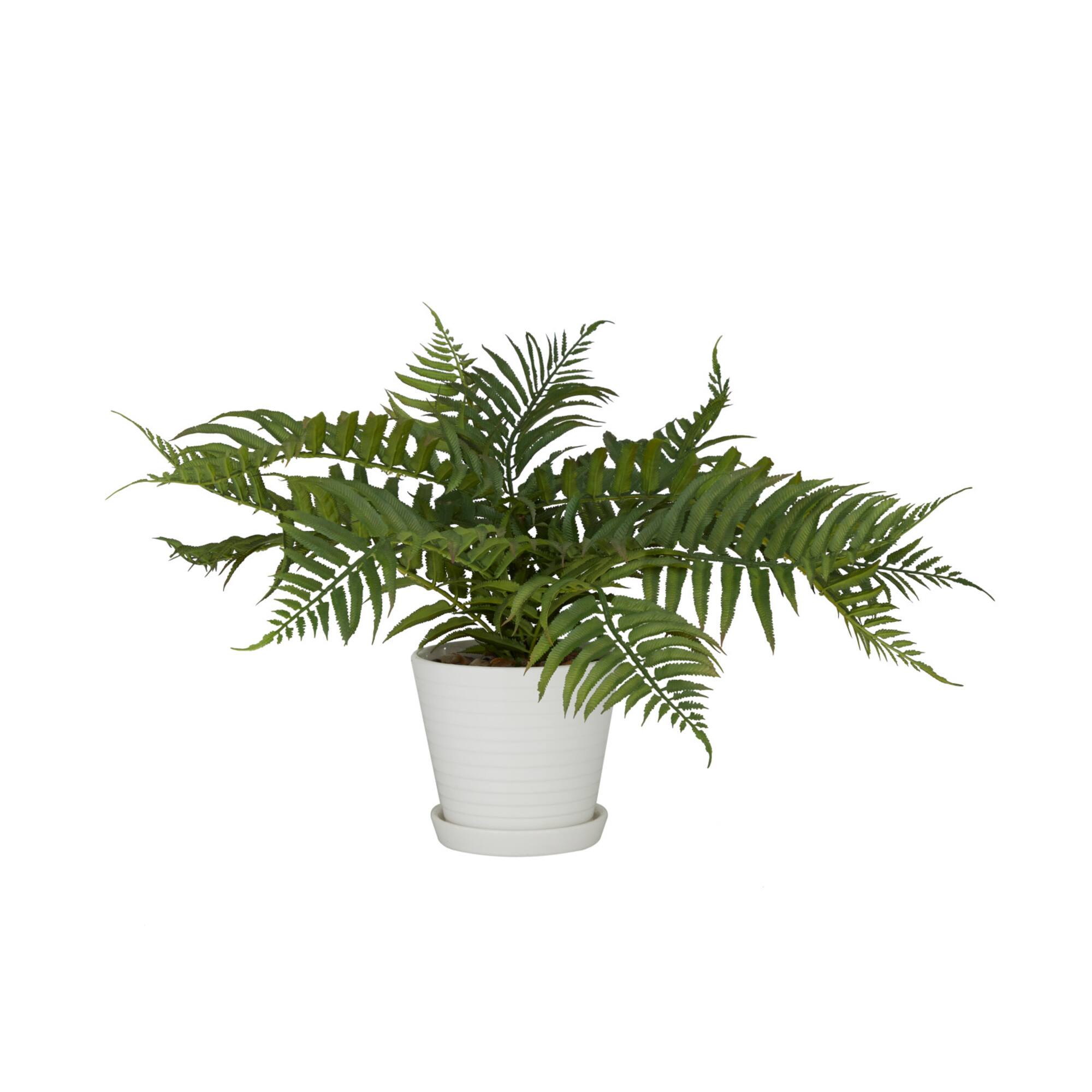 White Traditional Floral and botanical Artificial Foliage, 19" x 23" x 14"